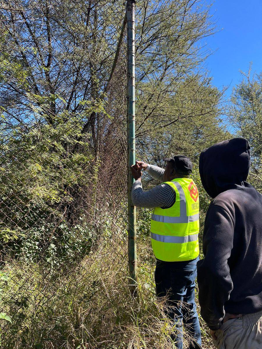 Two workers clearing vegetation along the boundary fence